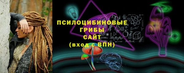 дмт Арсеньев
