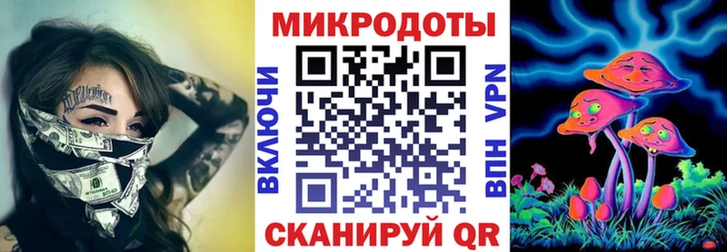 Псилоцибиновые грибы прущие грибы  Сясьстрой 